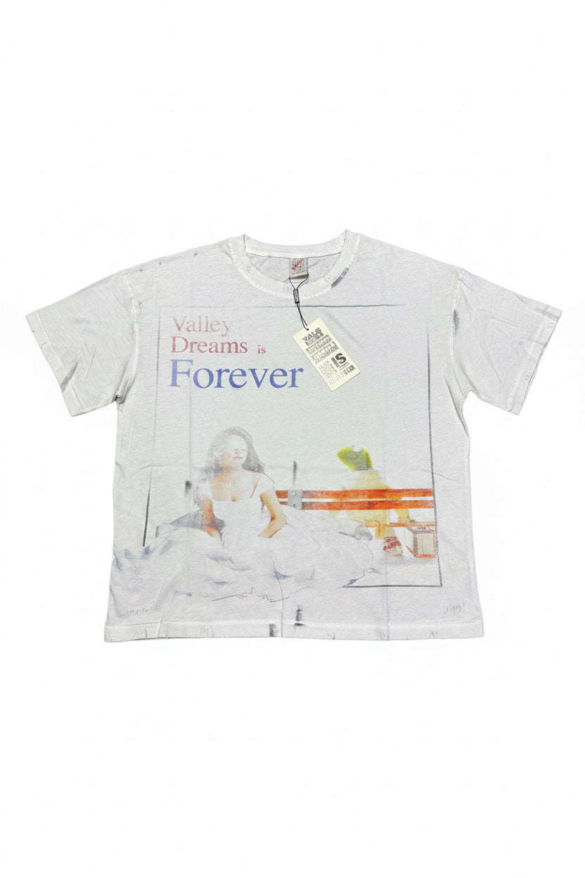 Valley dreams - forever white