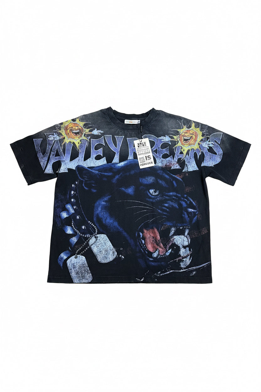 Valley dreams - black panther